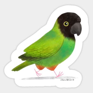 Nanday Parakeet Sticker